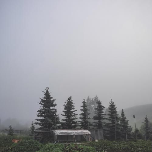 Photo #4723544