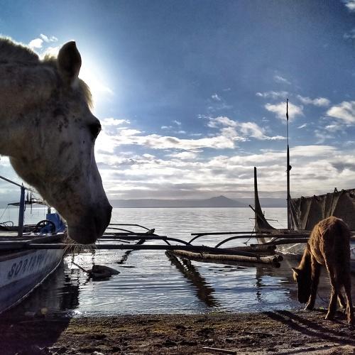 Photo #4723801