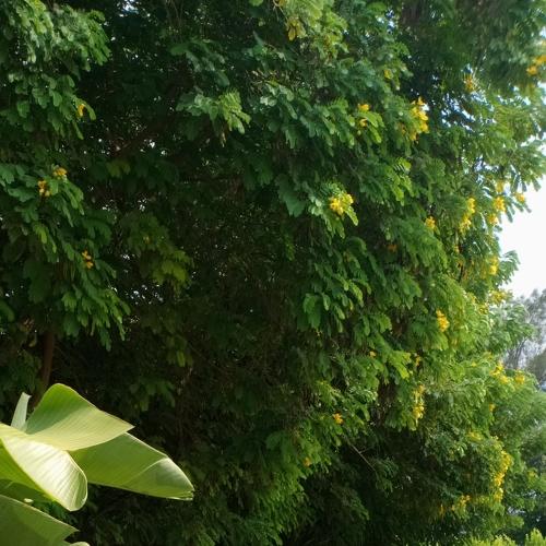 Nature speeks