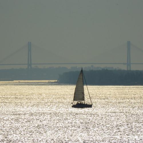 Photo #4724027