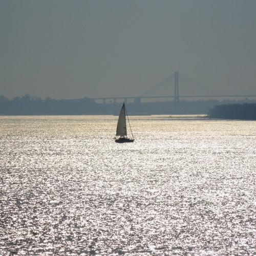 Photo #4724036