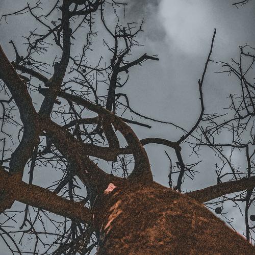 Photo #4724119