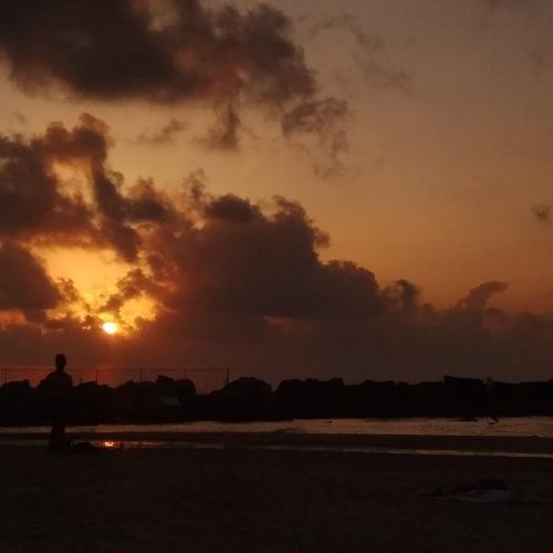 Photo #4724153