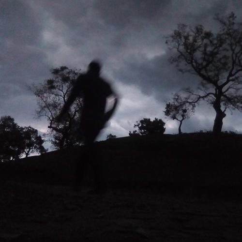 Photo #4724158
