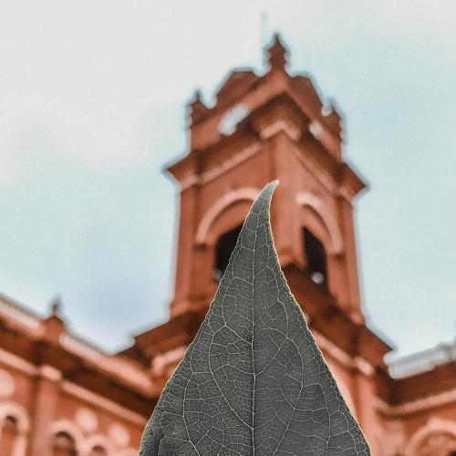 Photo #4724233
