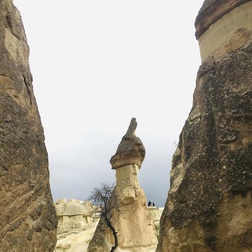 Photo #4724516