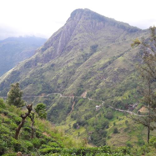 Photo #4724905