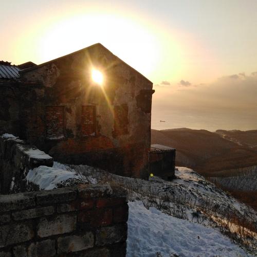 Photo #4725080