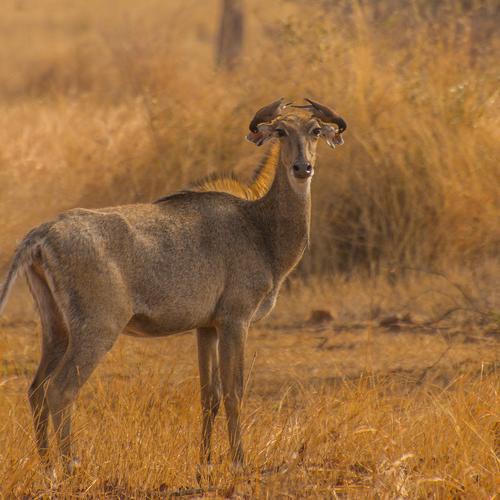 Photo #4725437