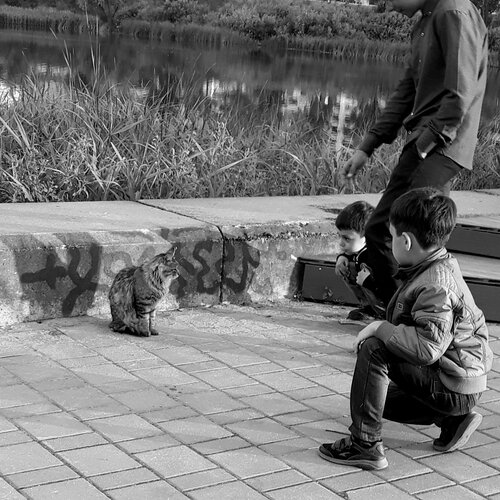 Photo #4725589