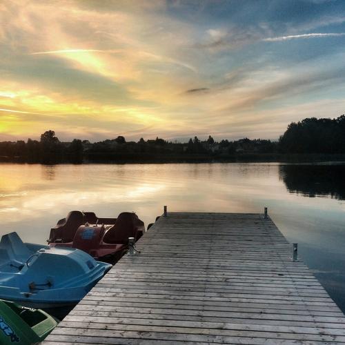 Photo #4725619