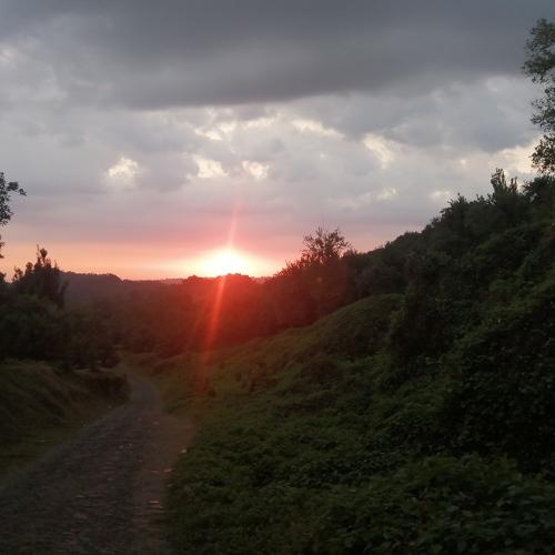 Photo #4725825