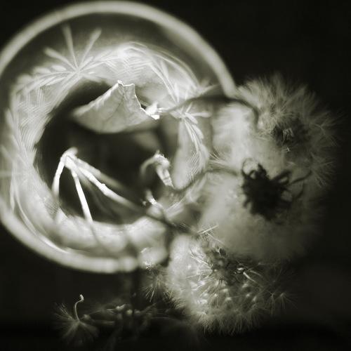 Photo #4725847