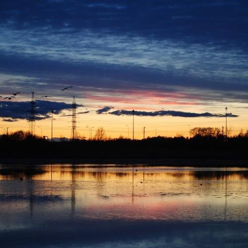 Photo #4726049