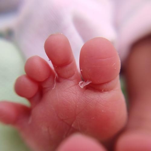 Newborn