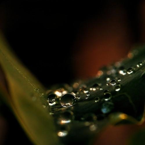 Photo #4726263