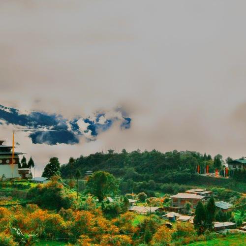 Feel Bhutan