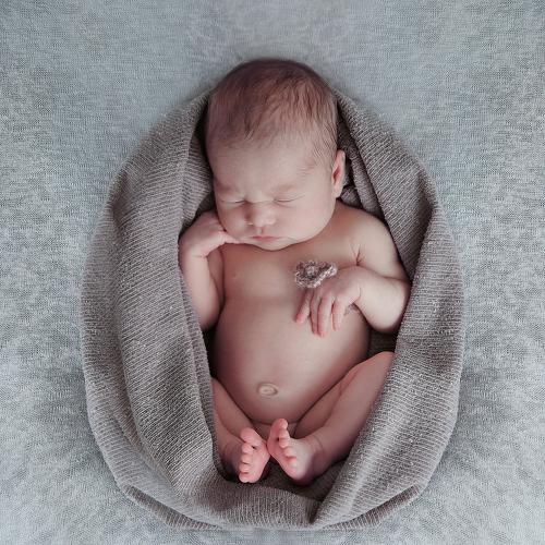 Photo #4726705