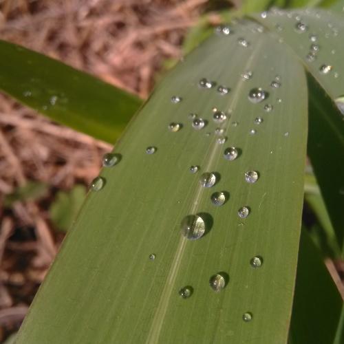 Photo #4726859