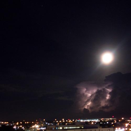 Photo #4727525