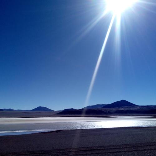 Photo #4727750