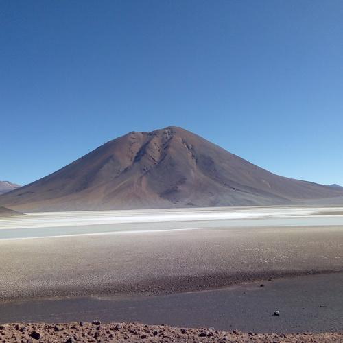 Photo #4727756