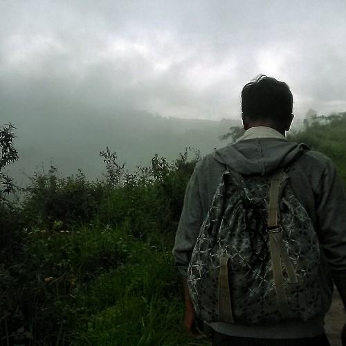 Photo #4727981