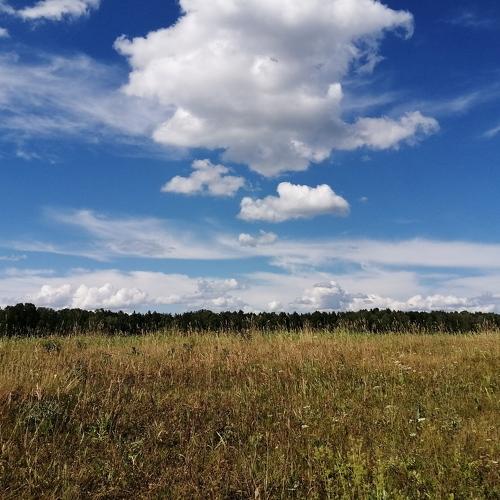 Photo #4727994