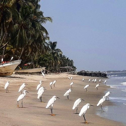 De vuelta al mar
