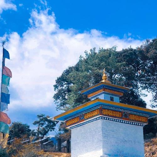 Photo #4728207