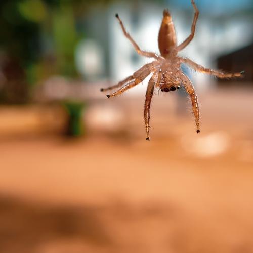 Photo #4728321
