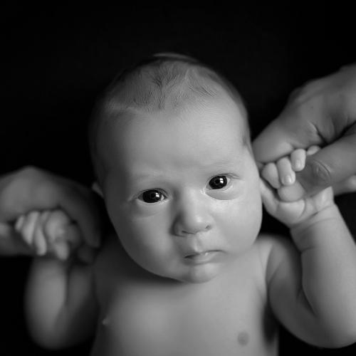 Фотография #4728539