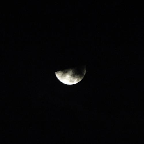 Photo #4728567