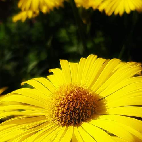 Photo #4728970