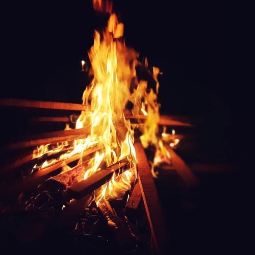 Photo #4728981