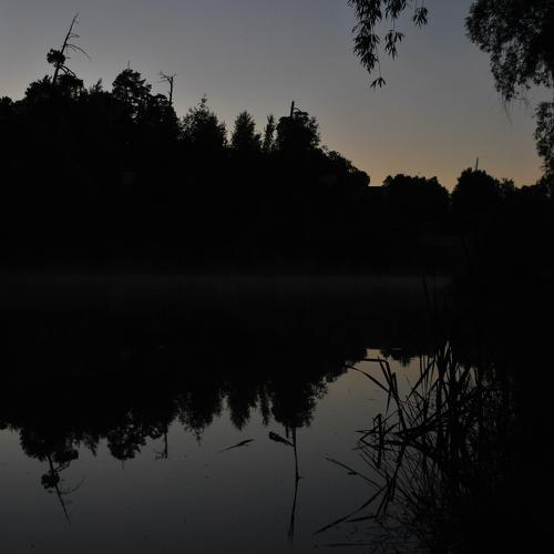 Photo #4729110