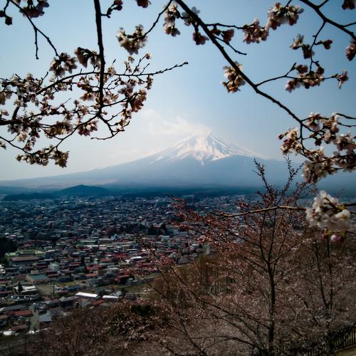 Photo #4729126