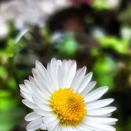 Photo #4729399