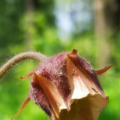 Photo #4729414