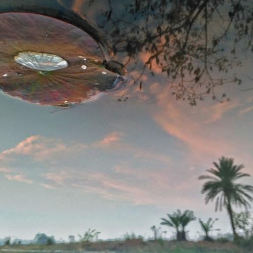 Photo #4729428