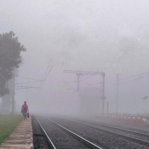 Photo #4729508