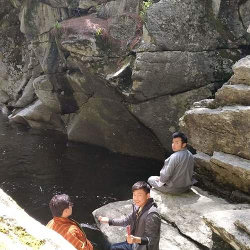Photo #4729569
