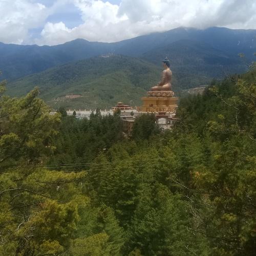 Photo #4729600