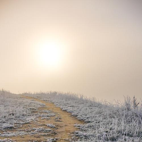 Photo #4729624