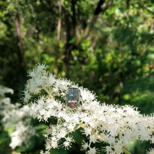 Photo #4729647