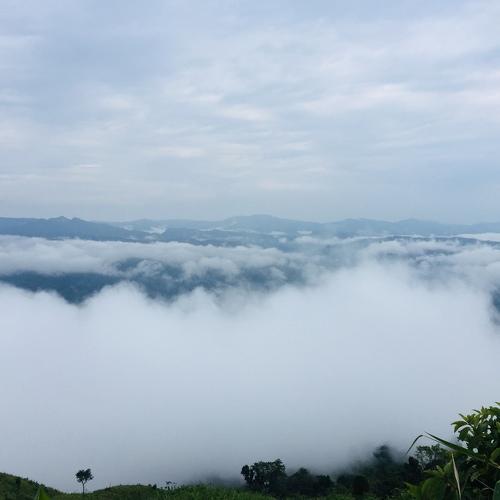 Photo #4730026