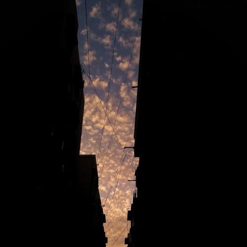 Photo #4730039
