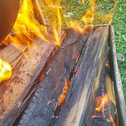 Photo #4730408