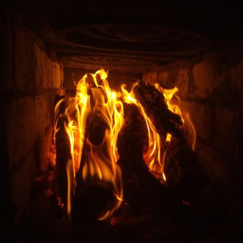Photo #4730626