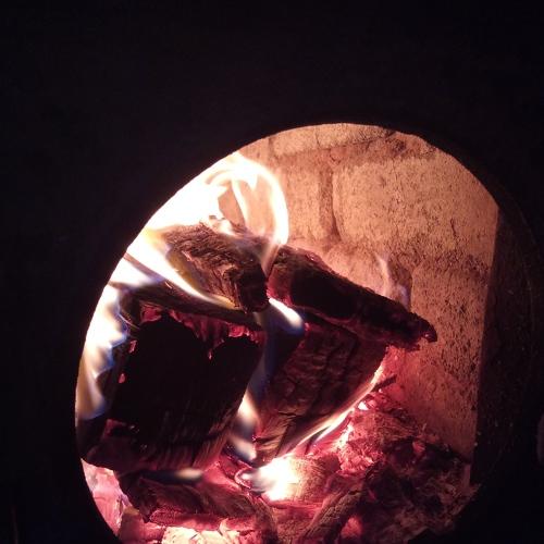 Photo #4730627